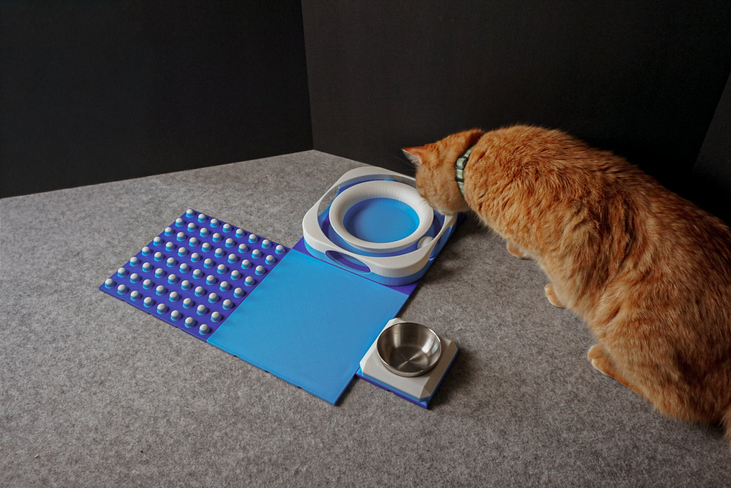 Ultimate Snap-Cat Bundle