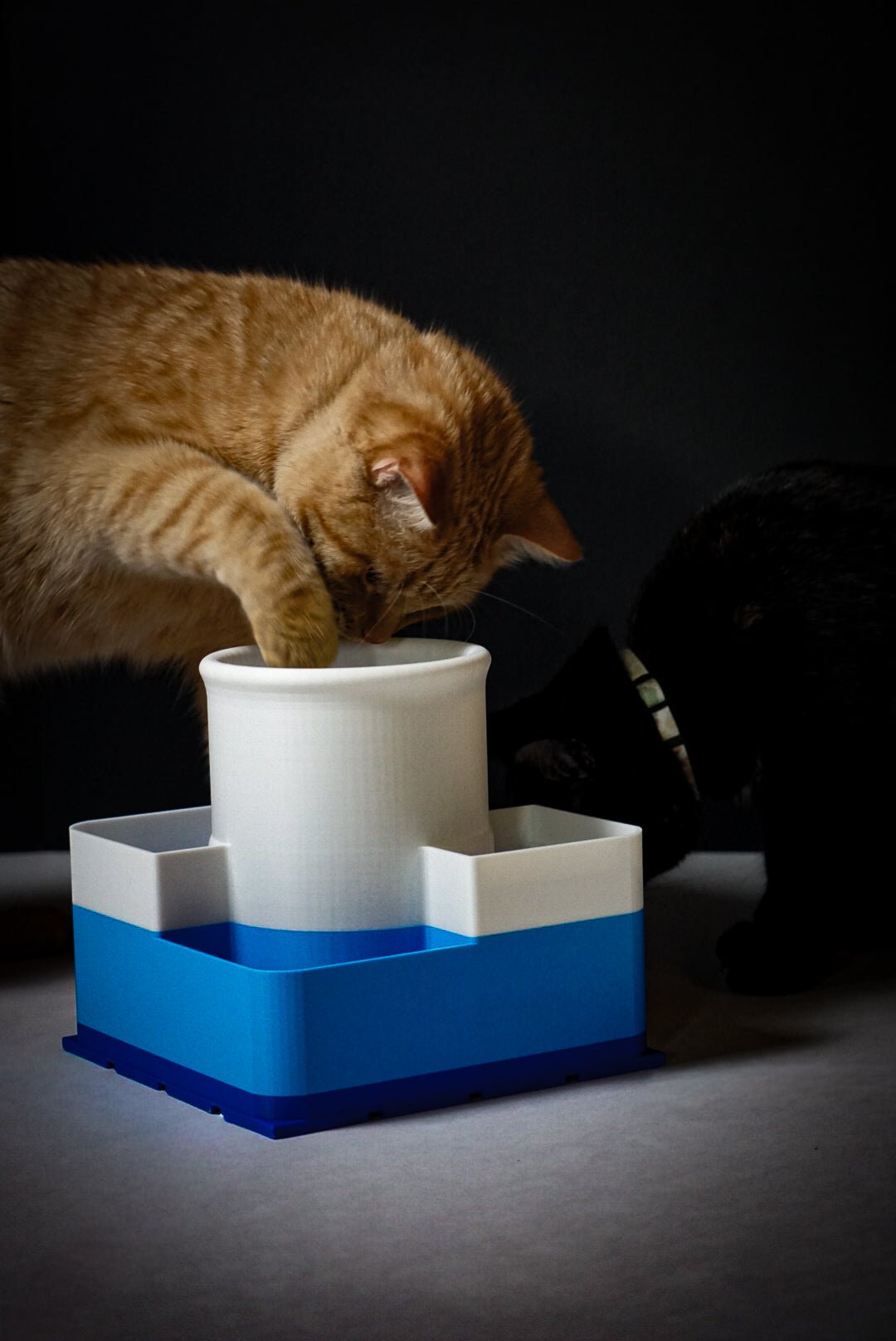 George using the Puzzle Treat Tower