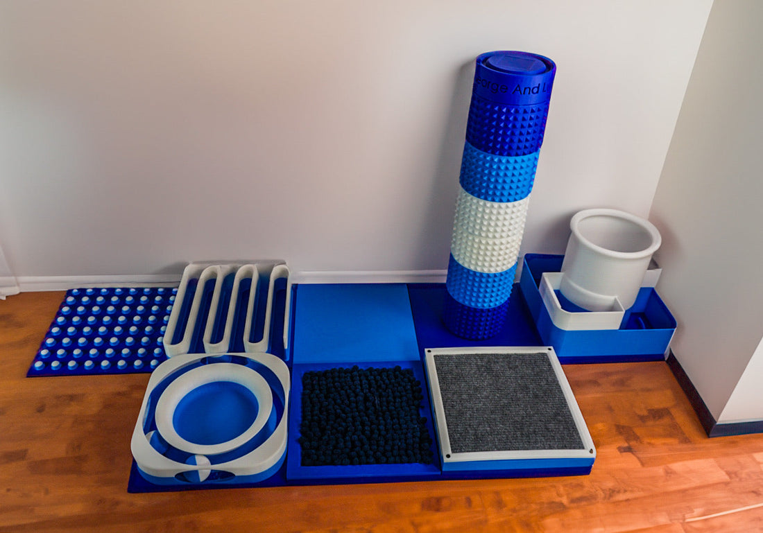 How Modular Cat Toys Transform Playtime for Cats and Owners