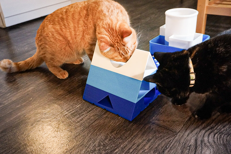Snap-Cat Food-Motivated Bundle