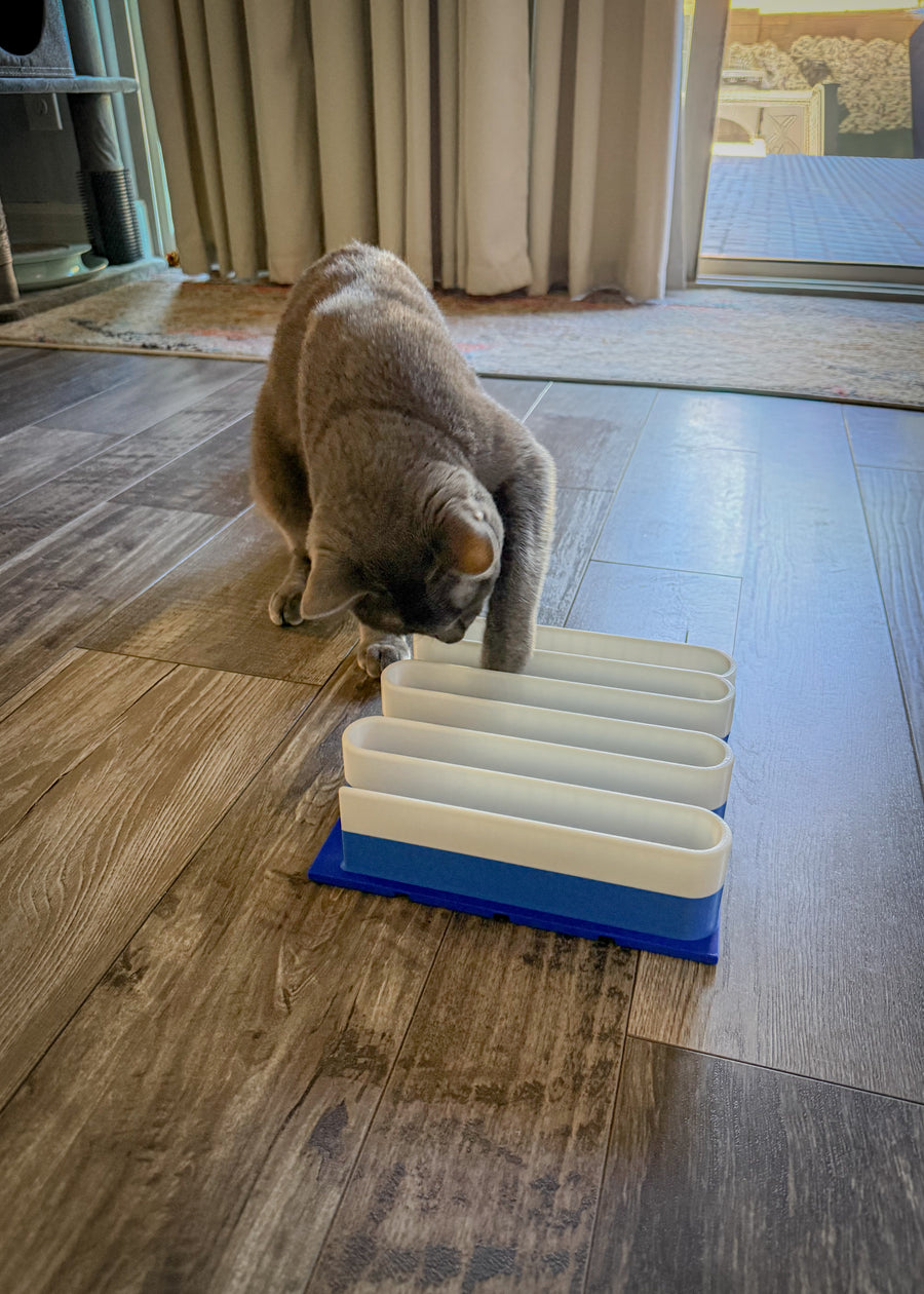 Snap-Cat Wiggly Treat Maze — Level 2