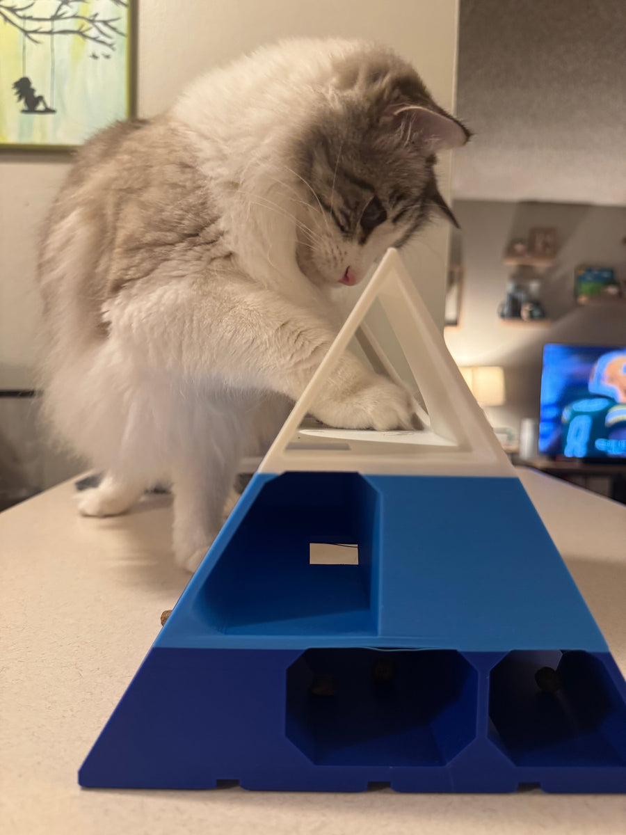 Snap-Cat Pyramid of Treats — Level 2